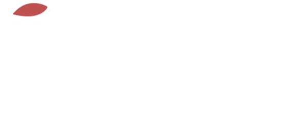 Emaan Electronics